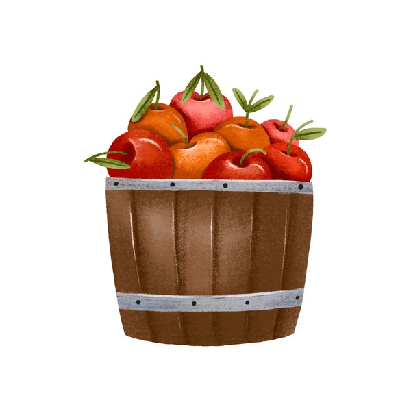 Wooden barrel of apples for harvesting