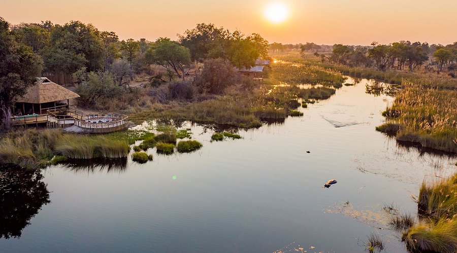 Located in the Okavango