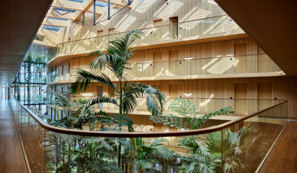 A tranquil courtyard garden at The Dylan Amsterdam, with lush greenery, a fountain, and the canal house facade visible in the background.