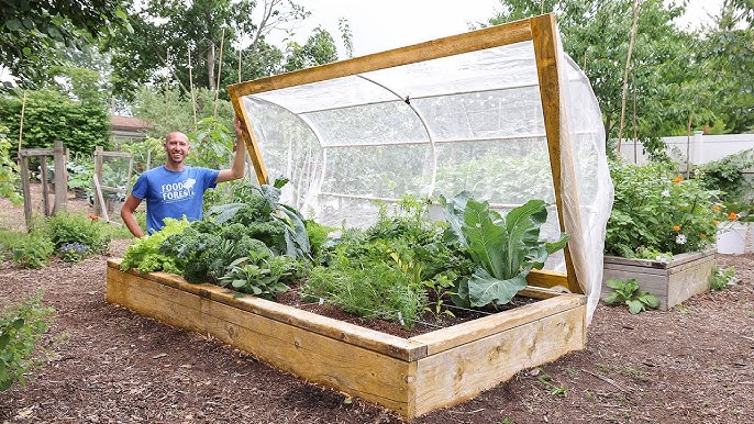 Build a Pest-Proof Raised Garden Bed: A DIY Gui...