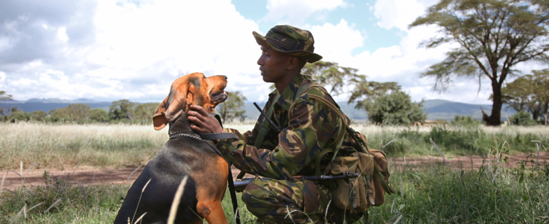 Anya documenting footprints of rhinos with the anti-poaching unit