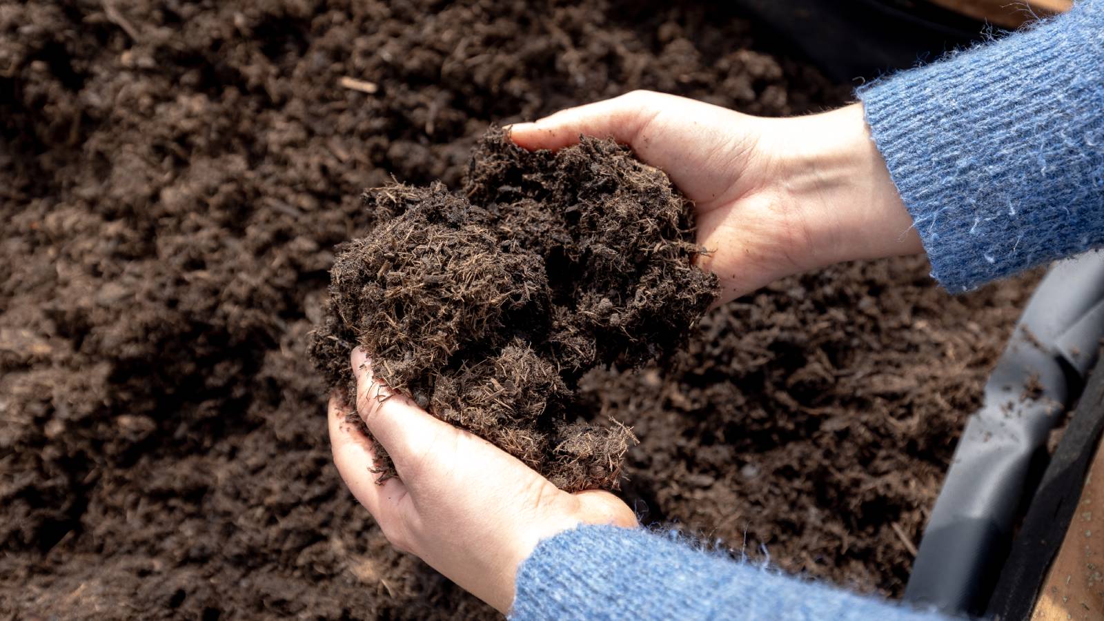 Backyard Biodiversity Boost: 5 Quick Wins for a...