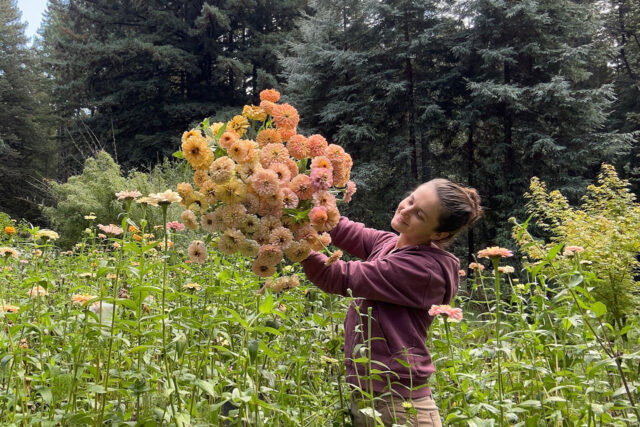 Bloom Where You're Planted: A Time-Saving Guide...
