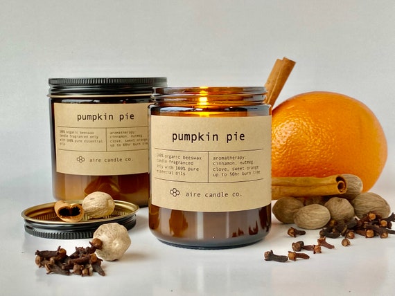 A collection of pressed autumn leaves including maple, oak, and birch.