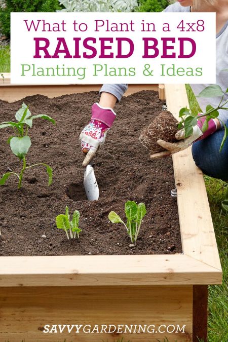 Natural Pest Control for Small Gardens: The Pow...