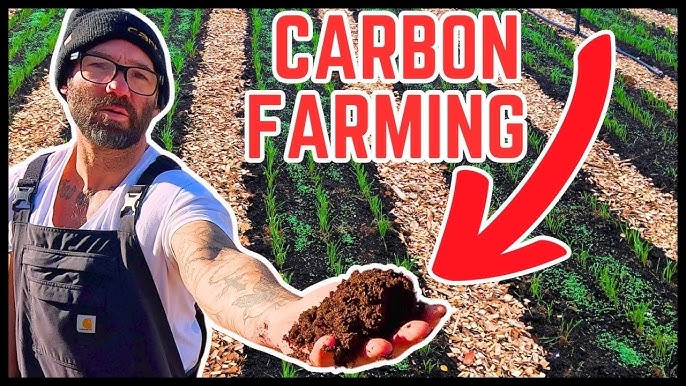video about no-till gardening