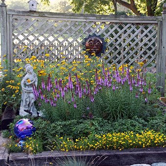 Beyond Bees: Create a Thriving Pollinator Haven...