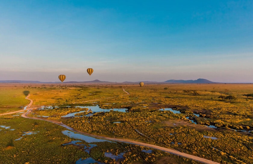 ## Serengeti Awakening: A Luxury Safari That Trans...