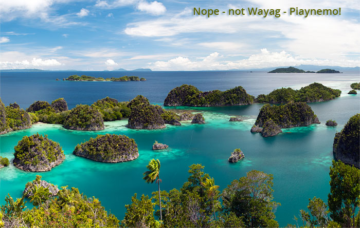 Papuan villagers actively transplanting coral fragments onto a damaged reef in Raja Ampat, showcasing their dedication to reef restoration efforts.