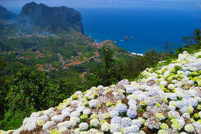# Madeira: Botanical Paradise & Adrenaline Rush (S...