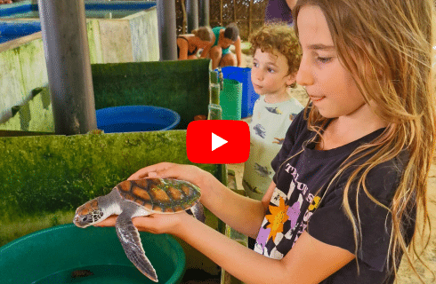 Children looking out the portholes of the Atlantis Submarine, observing deep-sea creatures