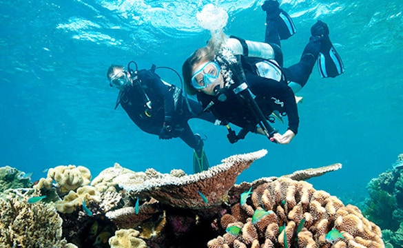 # Discovering Nosy Be: Coral Reefs, Conservation,...