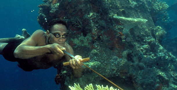 # Diving into History and Culture: A Solomon Islan...