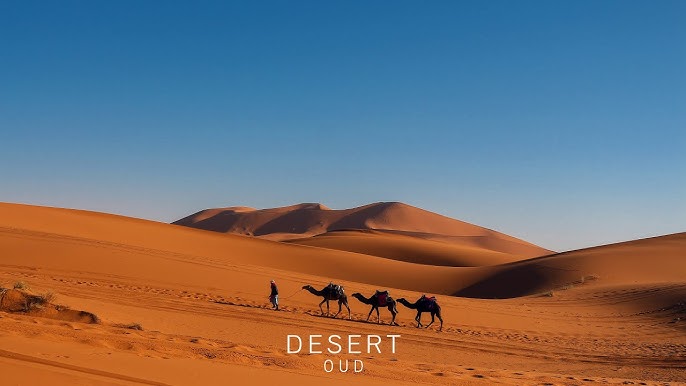 # Transformative Desert Landscape Experiences: Int...