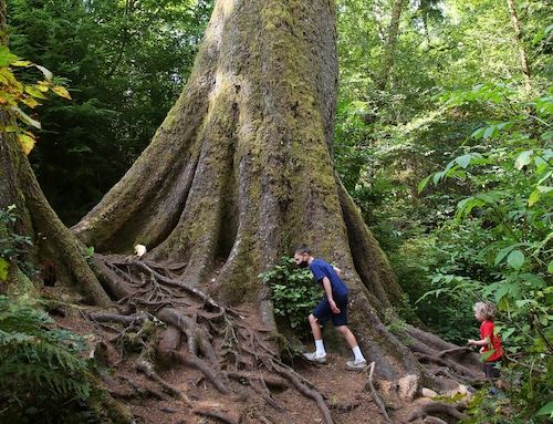 Trail Guide with Runner