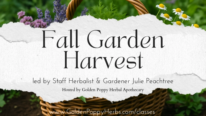 A beautiful garden scene features thriving vegetable plants growing in rich soil, showcasing the benefits of using vermicompost. The garden is well-tended, symbolizing a successful and sustainable homestead.