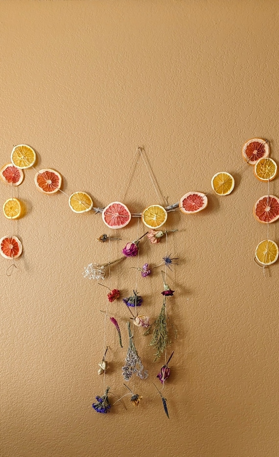 colorful variety citrus fruits on wooden countertop; cinnamon sticks, anise stars, twine nearby