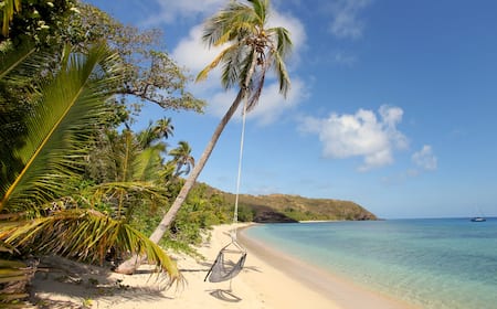 ## Lost in Paradise: Our Eco-Conscious Adventure i...