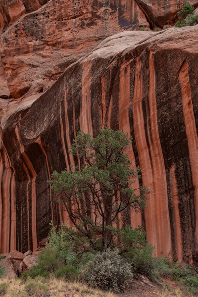 A vibrant Tsandi Design Rug being woven by Naemi Iyambo, showcasing the artistry and craftsmanship involved in creating the unique Namibian textile.