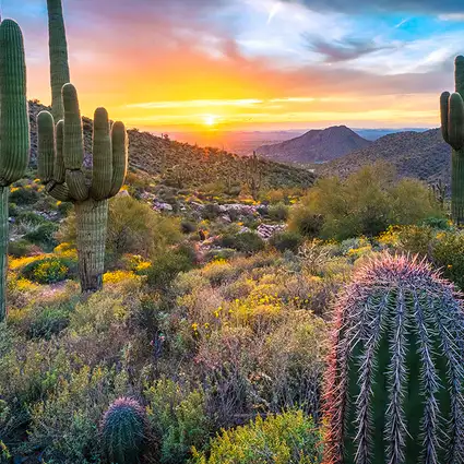Adventure photography in the American Southwest, featuring slot canyons, stars, and red rocks