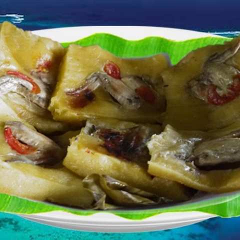 Tanna Island Airport Landing