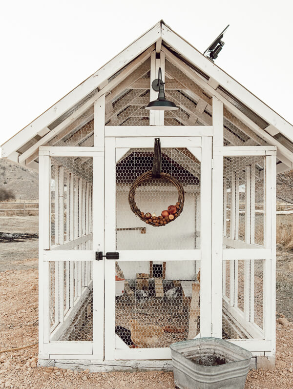 From Scraps to Sanctuary: Build a Sustainable C...