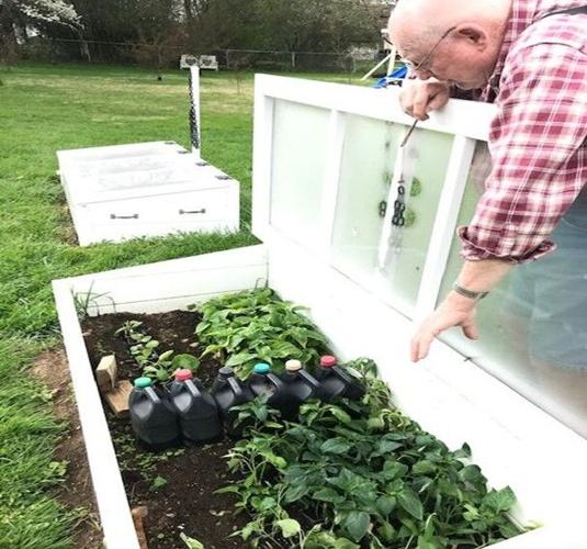 Image suggesting frost protection for sustainable home garden