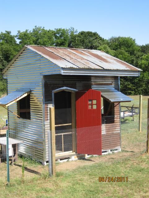 Dust bath area inside a chicken tractor, small pile of sand and diatomaceous earth, natural light.