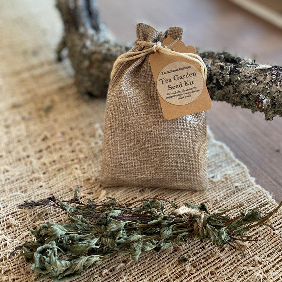 Yule Seed Starting Advent Calendar: Cultivating...