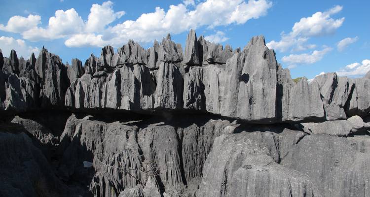 An underwater photograph showcasing the coral reefs of Nosy Be, with a focus on the biodiversity and the vibrant colors. The image should accurately depict coral bleaching (pale or white patches on the coral).