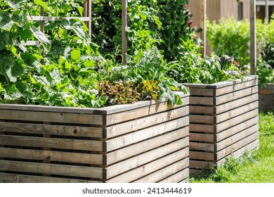 Garden Beds