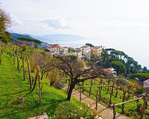 A hiker gazes out over the stunning Amalfi Coast from the Path of the Gods.