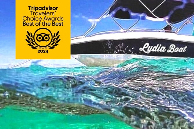 # Dive into Adventure: Unforgettable Marine Experi...