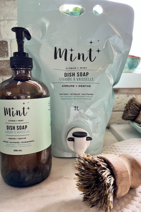 Natural Suds: Ditch the Plastic with Homemade Dish...