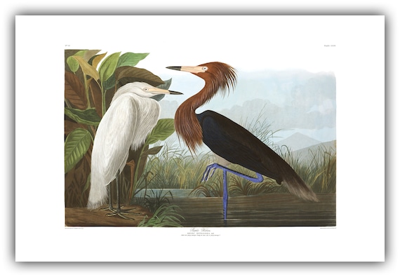 Cyclists on the Greenbrier River Trail