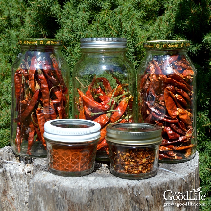 Jars of pickled peppers and herbs