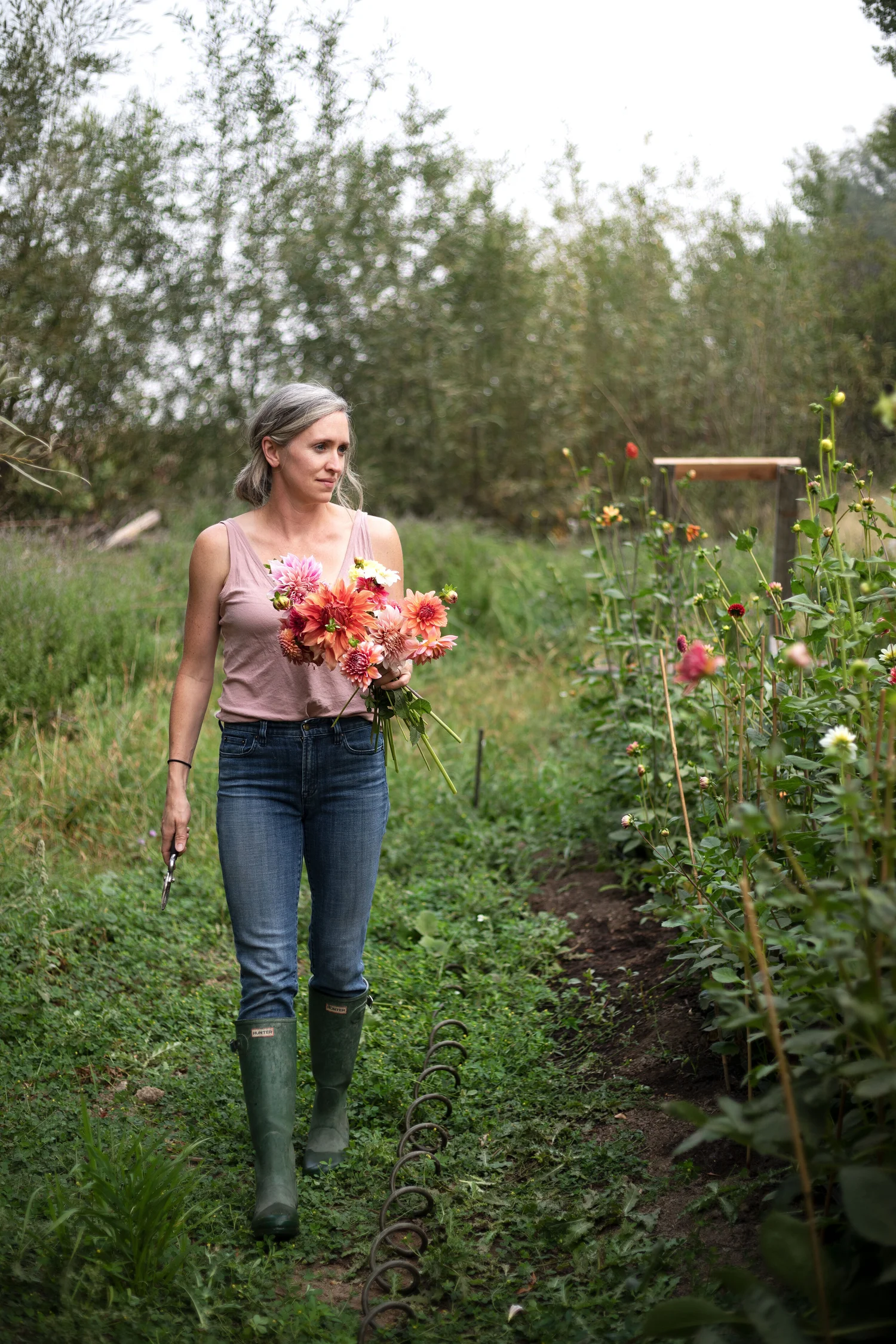 variety colorful flowers labeled seasonal relevance