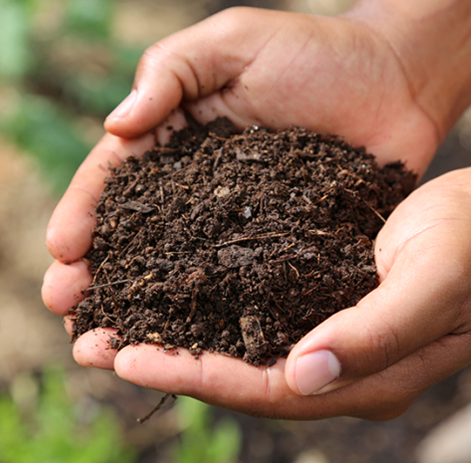 Unlock Garden Gold: Bokashi Composting for Begi...