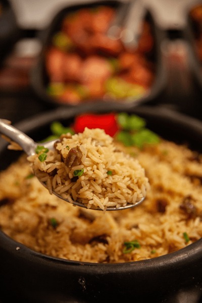 Agami Heron perched in dense foliage, Pantanal