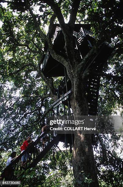 Amazon eco lodge Brazil