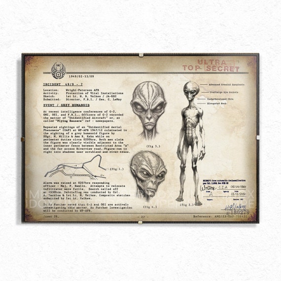 Stylized illustration of a Grey alien, partially obscured by shadow, evoking mystery and unease.