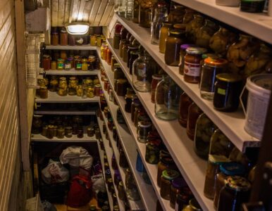 Unearthing Self-Sufficiency: Building a Root Ce...