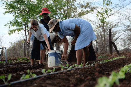 Anti-Poaching Unit Tracking Elephants