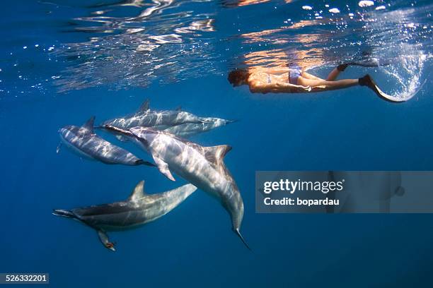 Freediving with Dolphins in Kona