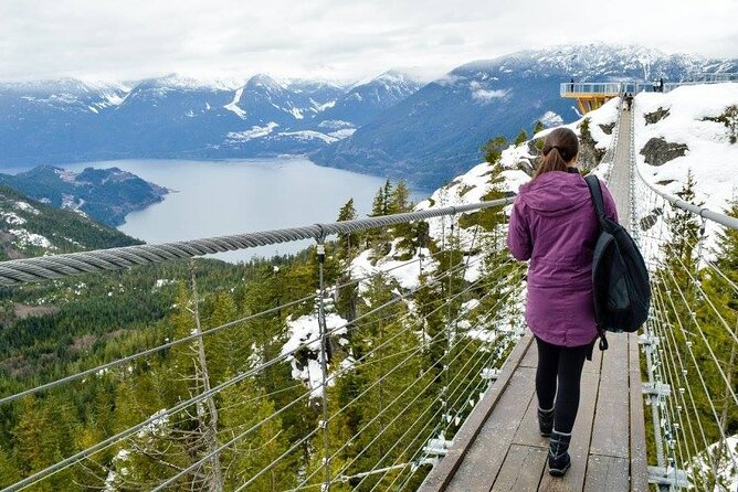 A group practices yoga poses in a snow-covered landscape, showcasing the rejuvenating experience of Snowga in Whistler with Whistler Yoga Detox.