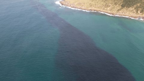 Sardine Run Expedition