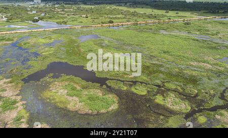 Golden hour view of the Pantanal