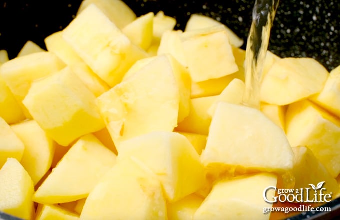 Applesauce ingredients in a pot