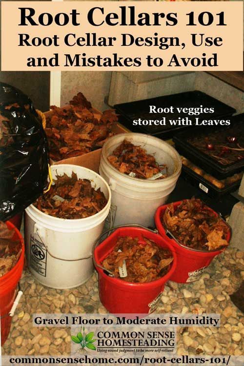 Root cellar shelving