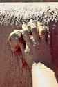 Earthbag Root Cellar: Build Your Own Sustainabl...